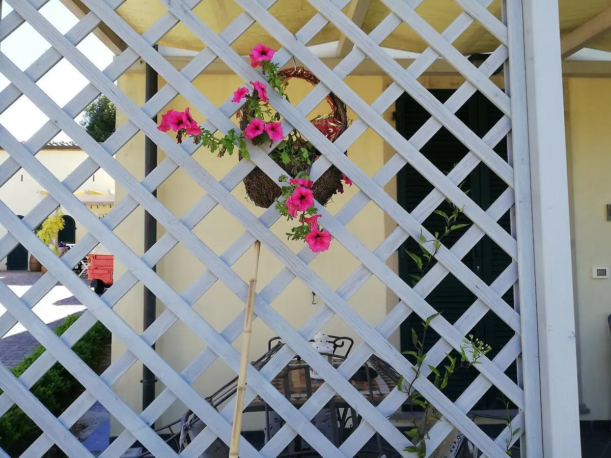 B&B Canneto Monteverdi Marittimo Bed and breakfast