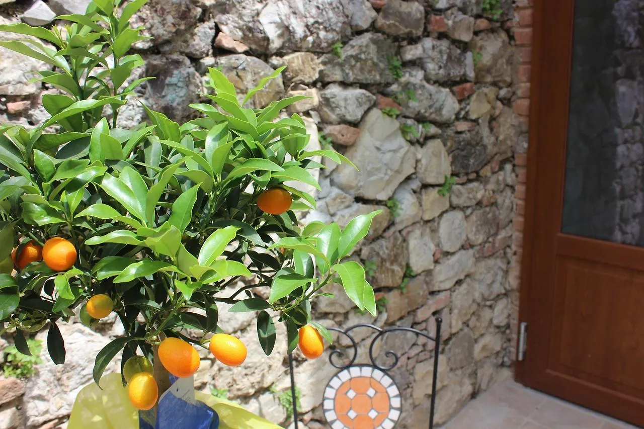 B&B Canneto Monteverdi Marittimo Italia